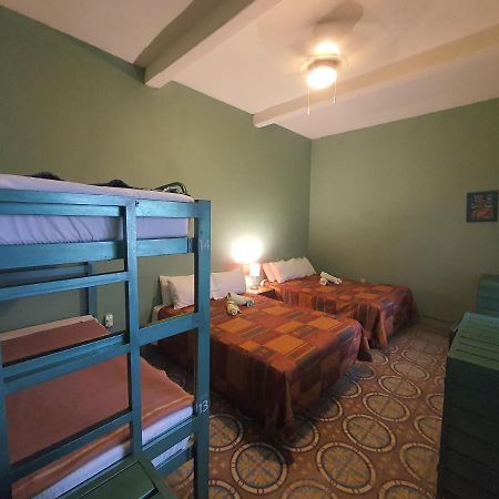 Hierba De Conejo Hostel Oaxaca Esterno foto
