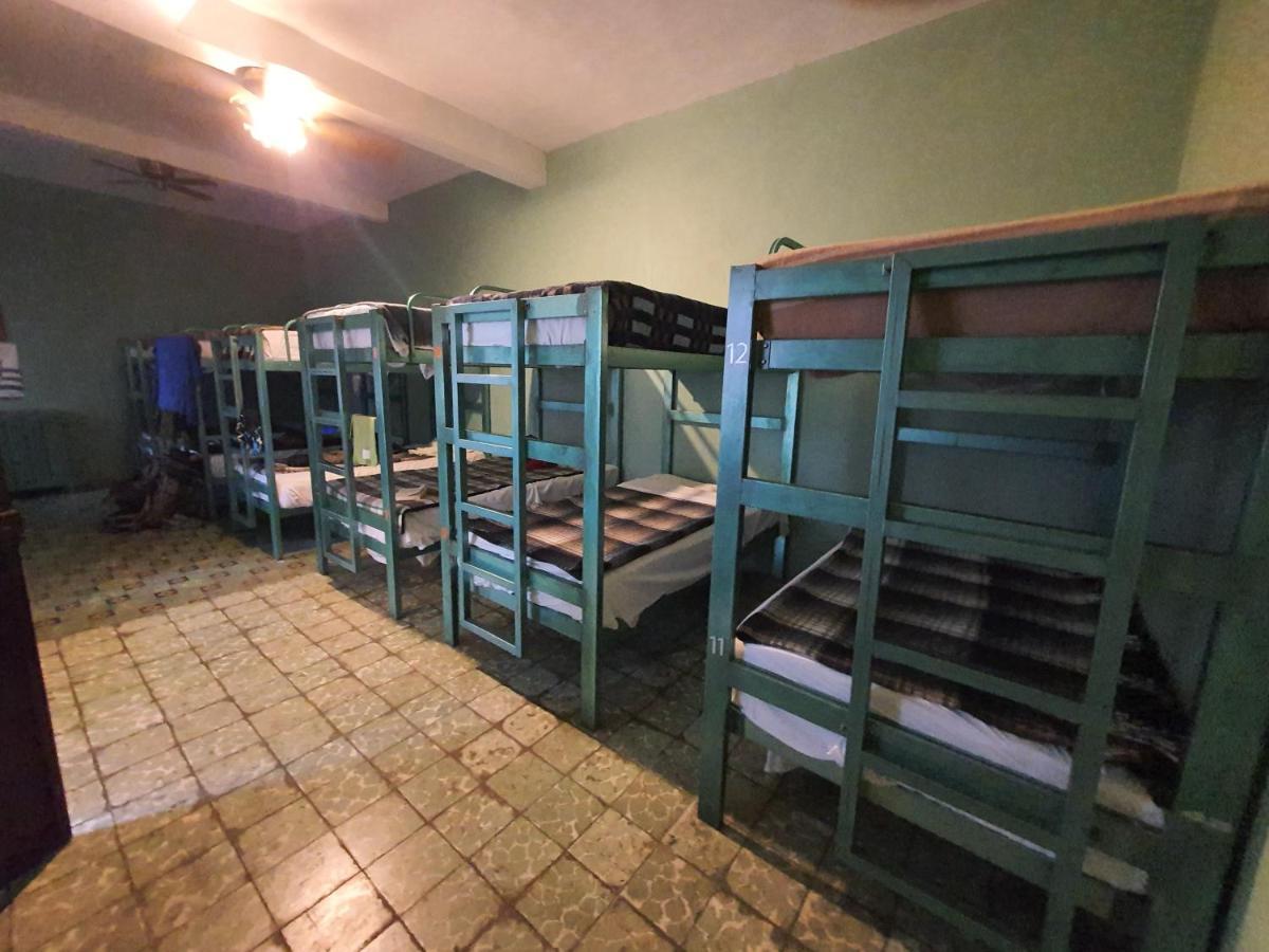Hierba De Conejo Hostel Oaxaca Esterno foto