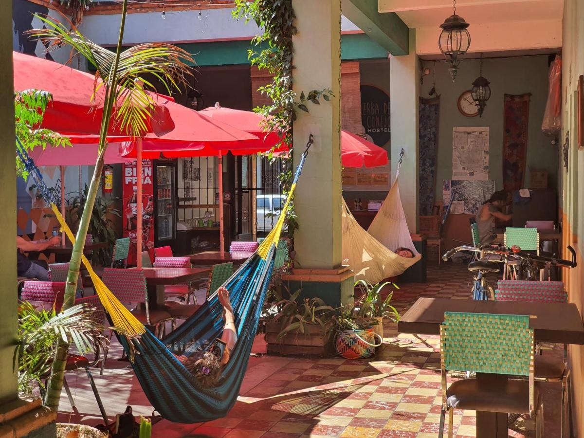 Hierba De Conejo Hostel Oaxaca Esterno foto