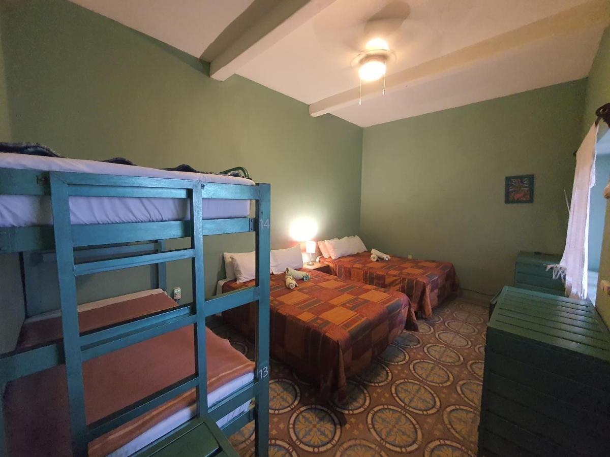 Hierba De Conejo Hostel Oaxaca Esterno foto