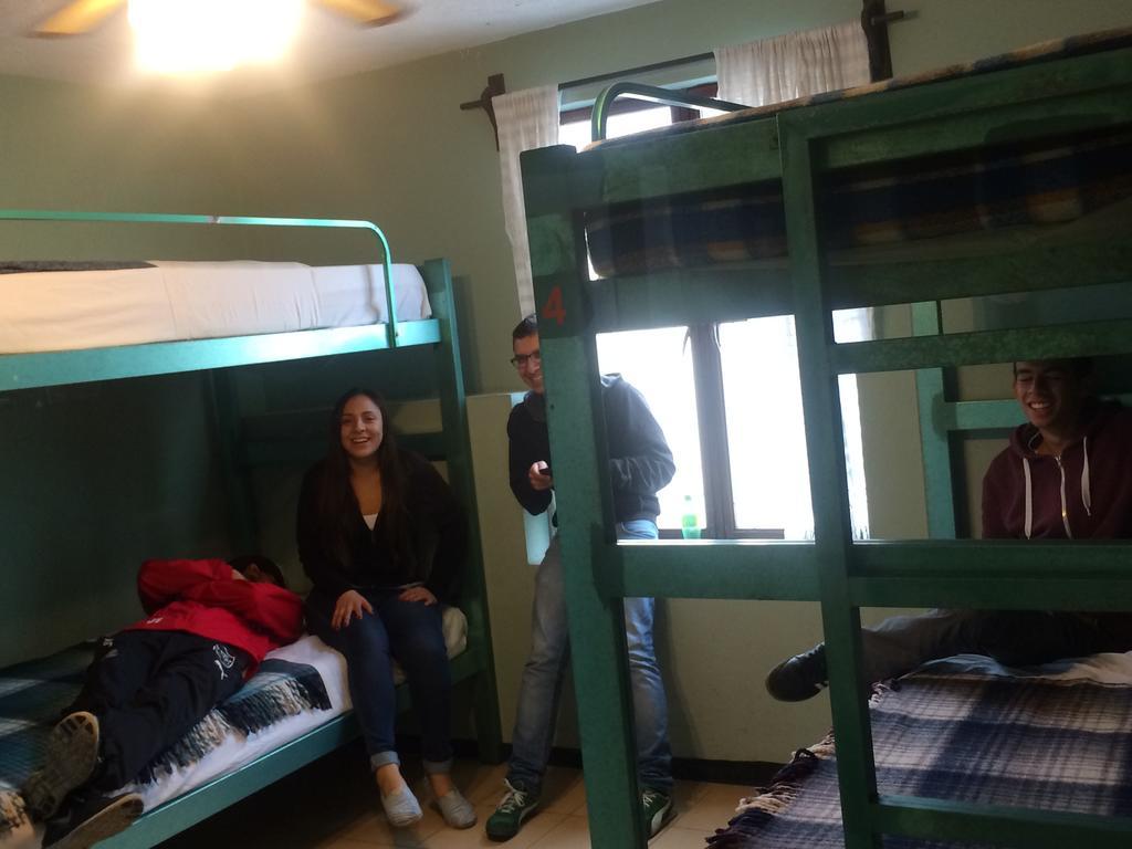 Hierba De Conejo Hostel Oaxaca Esterno foto