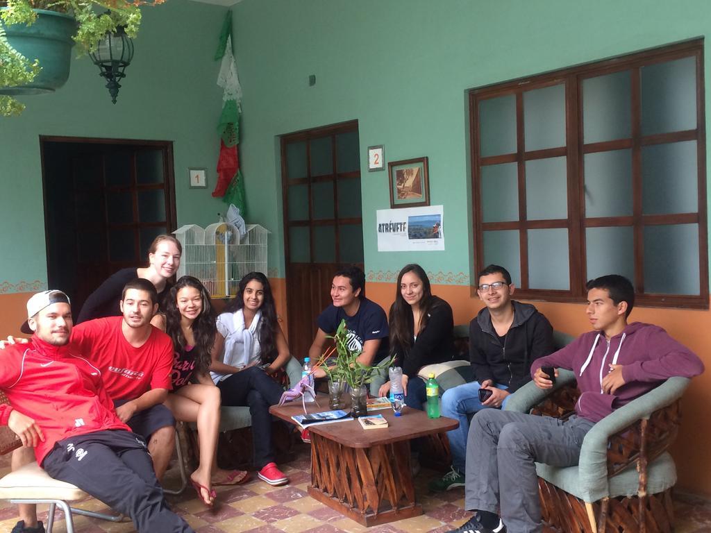 Hierba De Conejo Hostel Oaxaca Esterno foto