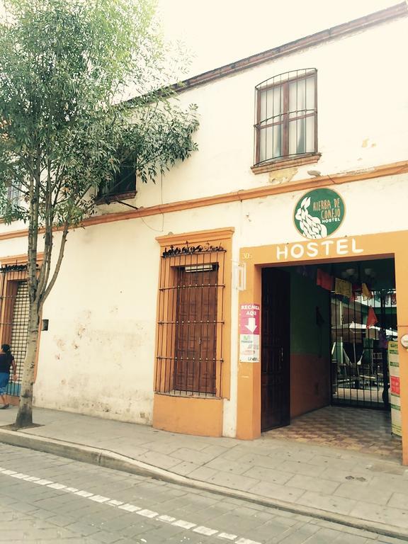 Hierba De Conejo Hostel Oaxaca Esterno foto
