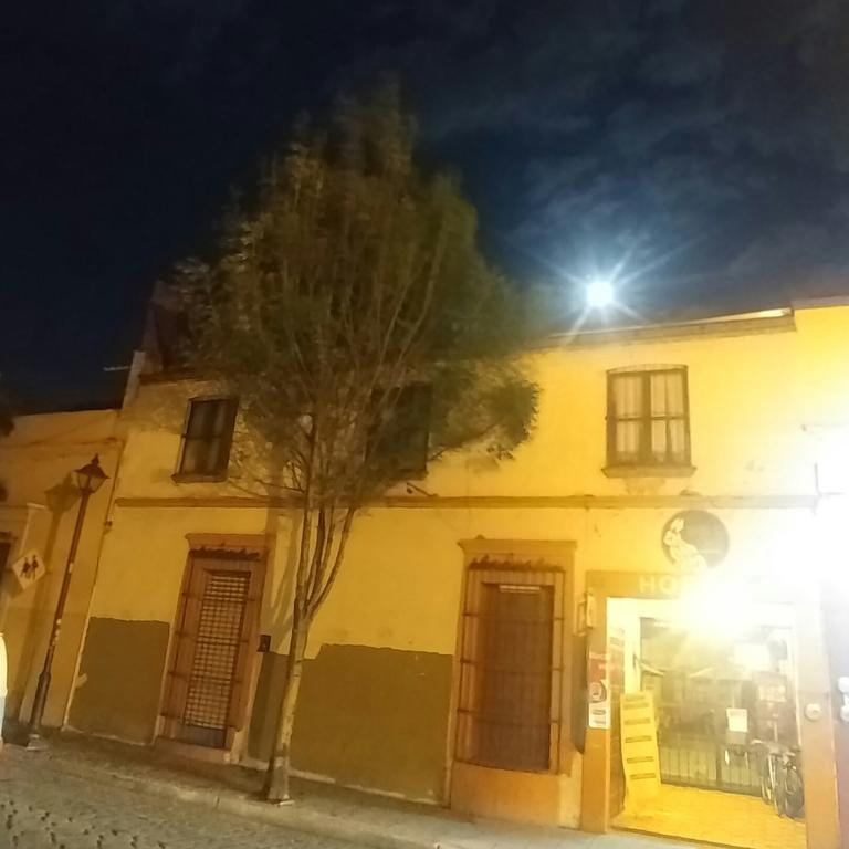 Hierba De Conejo Hostel Oaxaca Esterno foto