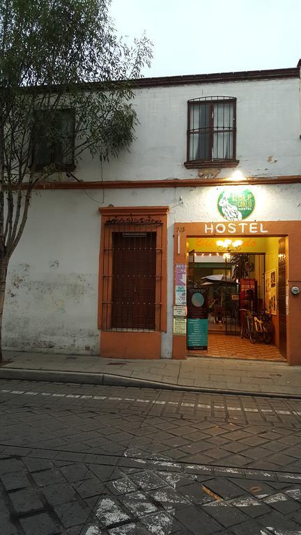 Hierba De Conejo Hostel Oaxaca Esterno foto
